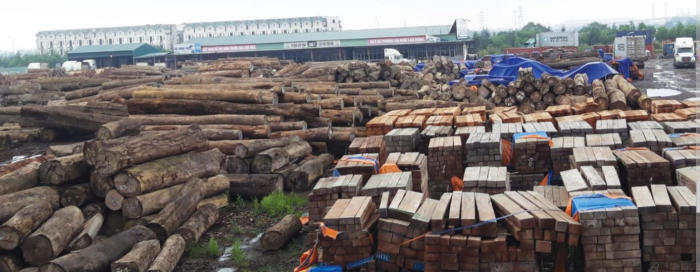 Nhu cầu tiêu thụ gỗ từ châu Phi tại thị trường Việt Nam