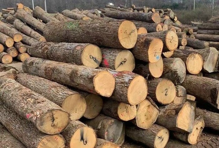 Những lưu ý khi nhập khẩu gỗ từ Lào