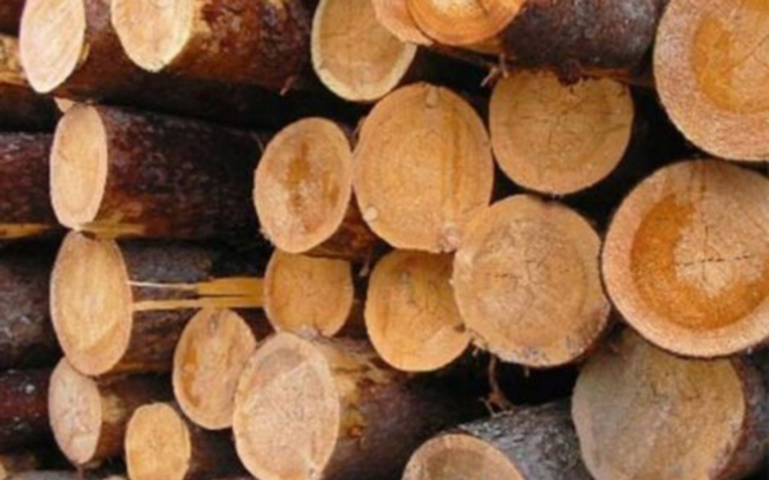 Những tiêu chí cần có trên giấy phép nhập khẩu gỗ từ châu Phi